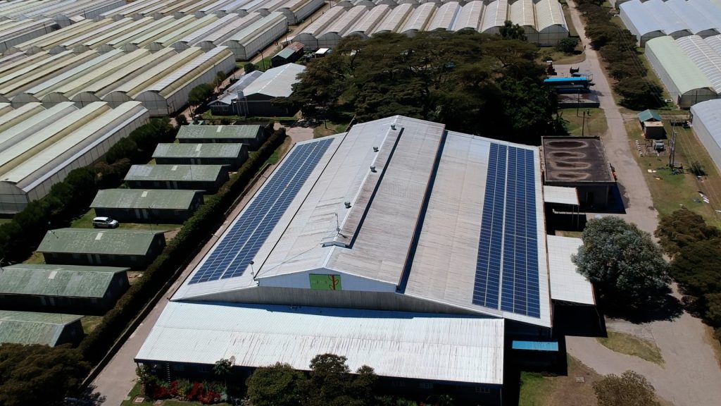 Solar Energy Solutions in Kenya