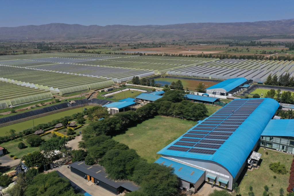 Is Your Business Solar-Ready? 5 Signs It’s Time to Switch to Solar Power.